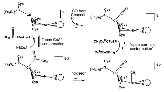 Proposed mechanism  1 for ACS activity with Cu-Ni ions in the binuclear site of the A-cluster. 