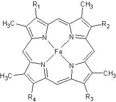 Figure 2. The tetrapyrrolic heme prosthetic group that can either be covalently attached to or closely associated with various proteins, such as cytochromes and other globin proteins. In Rmcytc, R2 is an ethyl group covalently attached to Cys 45, and R3 is a methyl group covalently attached to Cys48.