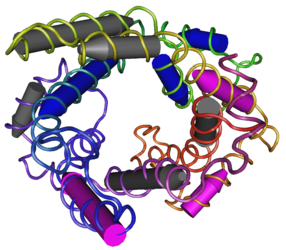 Image:286px-MMDB_ID_92271_PDB_ID_2LCK_Mitochondrial_Uncoupling_Protein_2.png