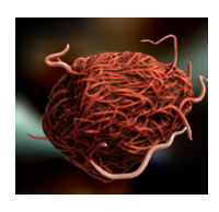 Figure1. 3-denominational image of mumps virus model