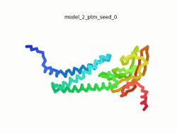 Morph of the top 5 ranked AlphaFold2 models of SARS-CoV-2 Protein M, rainbow color coded N-C (blue to red).