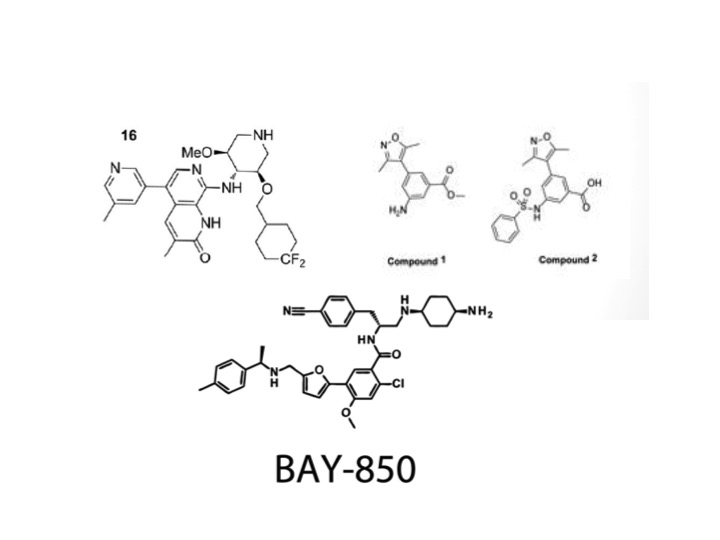 Figure 7. Structures of the four tightly-binding inhibitors for the ATAD2 bromodomain, Compound 16 from GlaxoSmithKline, Compounds 1 and 2 from the MD Anderson Cancer Center, and BAY-850 from Bayer.