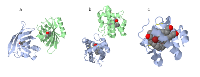 Image:Fig 3 soluble proteins.png