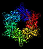 Fig. 2. Hexametric structure of GspE (PDB: 4kss).
