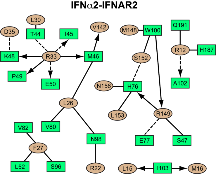 Image:IFNa IFNAR2 interaction map.png