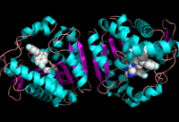 Figure 2: Ligand within the Overall Structure of MGL