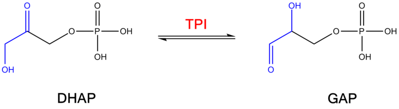 Image:TPI 2D mechanism2.png