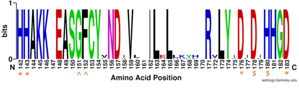 Figure 1: Weblogo representation comparing conservation of residues (143-182 in HDAC8) to homologous sequences in all class I HDACs. Active site residues (asterisk), zinc binding (dollar), and binding pocket residues (caret) are invariant across class I HDACs. Other conserved residues not shown include active site residue Tyr306, zinc binding residue Asp267, and binding pocket residue Asp101. Other conserved residues in the Weblogo image serve as a 'scaffold' for the active site residues, while jmolSetTarget('1');jmolLink('delete $clickGreenLinkEcho; refresh;setL = \"setLoading();\"; javascript @setL; script /wiki/extensions/Proteopedia/spt/wipeFullLoadButton.spt;  isosurface DELETE; scn = load(\"/wiki/scripts/83/834033/Non-conserved_helix/2.spt\"); scn = scn.replace(\'# initialize;\', \'# initialize;\nclearSceneScaleCmd = \"clearSceneScale();\"; javascript @clearSceneScaleCmd;\n\'); scn = scn.replace(\'_setSelectionState;\', \'_setSelectionState; message Scene_finished;\'); script inline scn;','non-conserved','non-conserved'); residues from 158 to 170 are part of an α-helix that transits away from the active site before looping back to it.