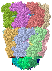 Crystal Structure of Chaperonin, 1pcq