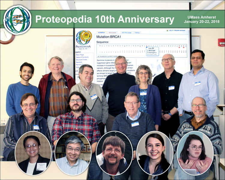 Image:10th Anniversary Proteopedia Group Photo.jpg