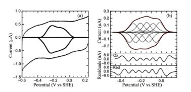 PFV of S. oneidensis ccNiR (a) Typical signal on a graphite electrode. (b) Baselinesubtracted non-turnover voltammogram