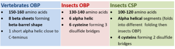 Table 1. Summation of the main structure properties of soluble proteins types