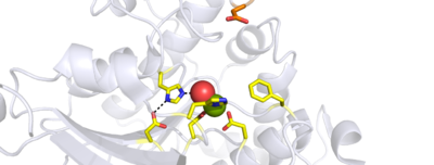 Figure 1. View of protein