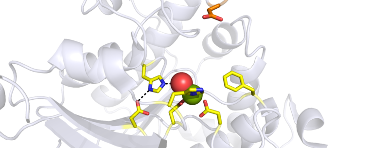 Image:Active site take 2.png