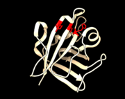 PDB 1T2W Active Site Reisdues Arg 197, Cys 184, and His 120 highlighted