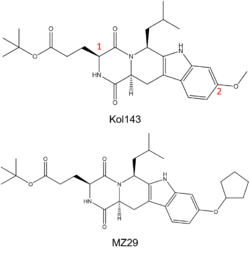 Figure 3. (Top) Known ABCG2 Inhibitor Kol143; Red numbers indicate points of alternation in derivatives of inhibitor. (Bottom) Derivative of Kol143, MZ29.