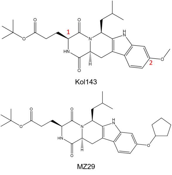 Image:Kol143 and mz29 abcg2 inhibitors.png