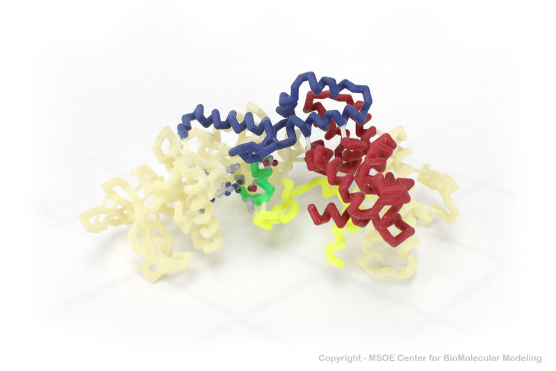 Image:Anthrax 2 centerForBiomolecularModeling.jpg