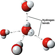 Figure 1. Hydrogen Bonding Schematic