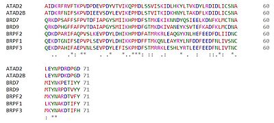 Sequence alignment of family IV bromodomains by Clustal Omega.