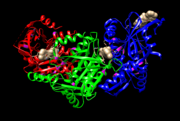 Figure 3. PDB 1W44 Atomic Snapshots of an RNA Packaging motor. Arg residue highlighted in magenta 