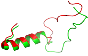Figure 3:Amylin (green) aligned with Pramlintide (red)