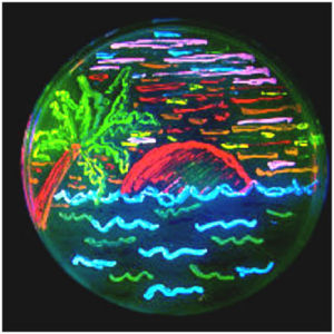 The diversity of genetic mutations is illustrated by this San Diego beach scene drawn with living bacteria expressing 8 different colors of fluorescent proteins.