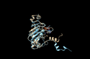 This is an image of mitochondrial ABC transporter ABCB6