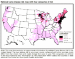 Map illustrating prevalence of Lyme disease in the Untied States by CDC.[[2]]