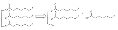 Figure 1: breakdown of a triglyceride into a diglyceride and creation of one free fatty acid by LPL