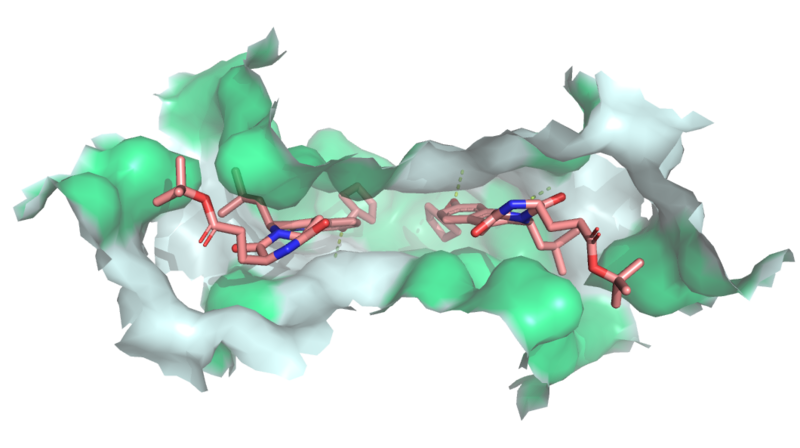 Image:Ligand Interactions 6ffc.png