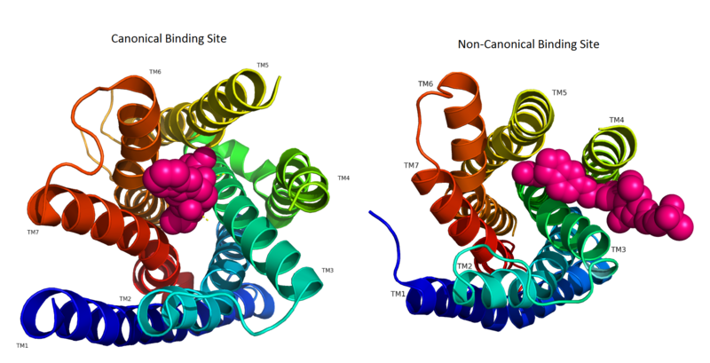Image:Binding site comparison.png