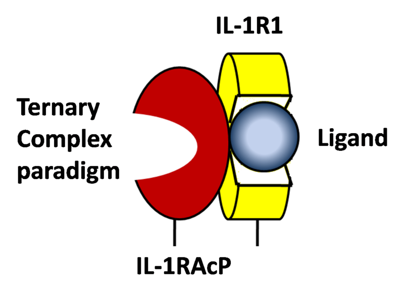 Image:Ternary complex paradigm.png