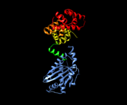 This is an image of the components of FliG and FliM (PDB files 3AJC and 3SOH, respectively)