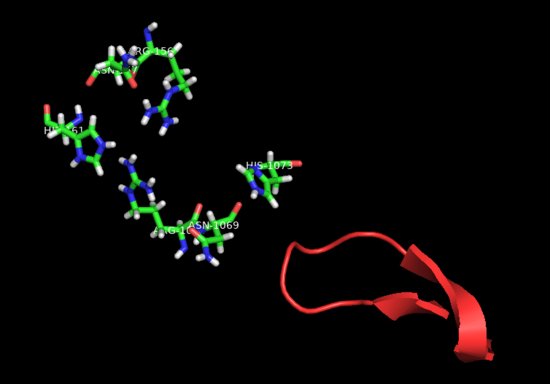 Fig.5 HEPN2 conserved loop at active site