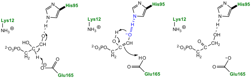 Image:TPImechanism2.png