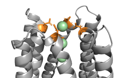 Figure 1. The coolest image of this protein!!!!