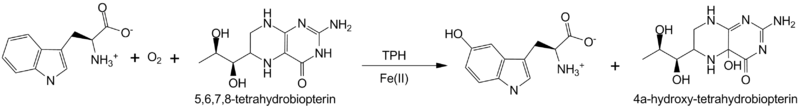 Image:TPH reaction.png