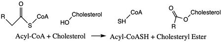 Figure 1. Chemical Structures for the Reactants and Products of ACAT1