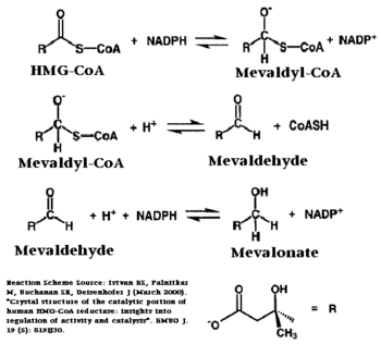 Chemical Reaction Catalyzed by HMGR