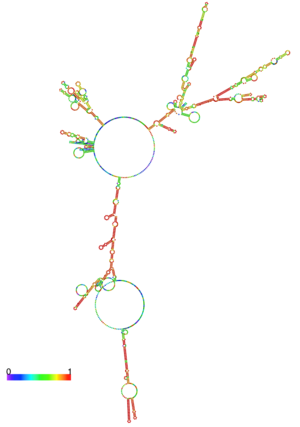 Centroid RNA 1xtc