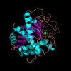 1CPX, inhibited carboxypeptidase A
