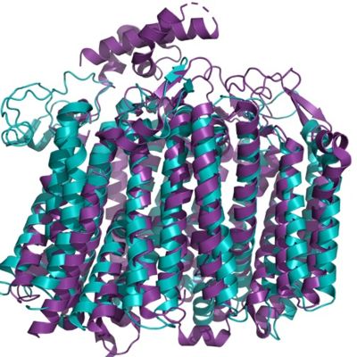 Figure 1. The coolest image of this protein!!!