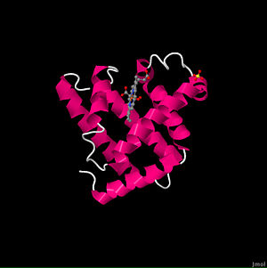 oxymyoglobin 1MBO