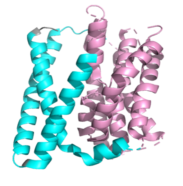 Image:NTCP Protein Pymol.png