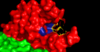 Substrate binding groove in Caspase-6. Blue - catalytic residues yellow - ligand  red - generic surface