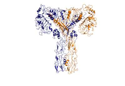 Figure 1. The coolest image of my protein