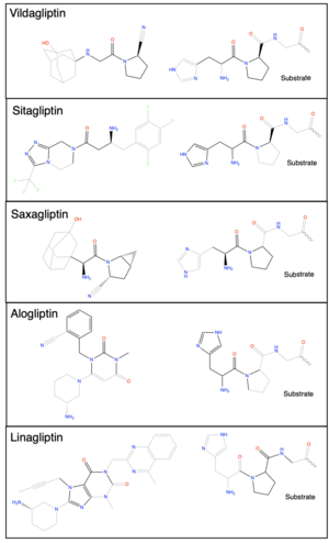 Figure 2. ChemDraw images of the structures of different DPP-IV inhibitors.
