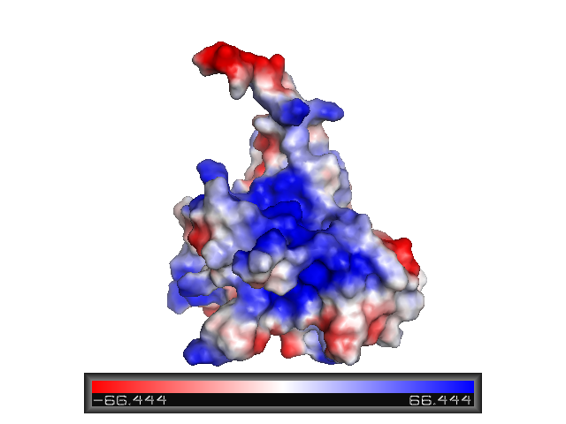 File:P53 surface charge.png