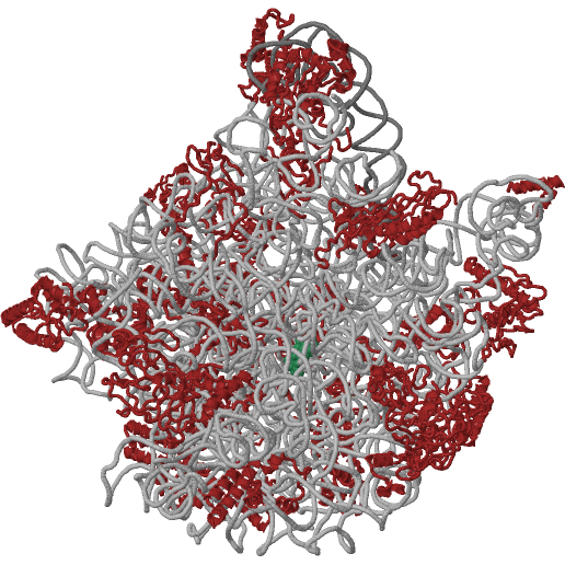 File:Azithromycin50s.png